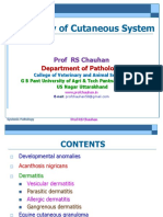 Cutaneous System PDF