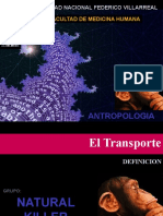 EL TRANSPORTE -DEFINICION 2010