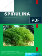 Spirulina 