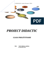 ppproiect