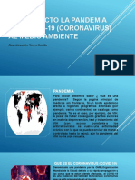 Covid-19 (CORONAVIRUS