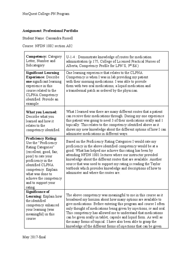 Professional Portfolio NFDN 1002 Casssandra Russell A02 | PDF | Nursing ...