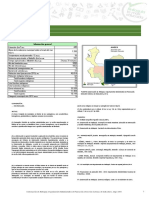 Andes PDF