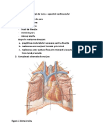 Aplicatie cardiovascular.pdf