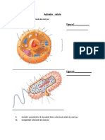 Aplicatie Celula PDF