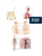 aplicatie curs2.pdf