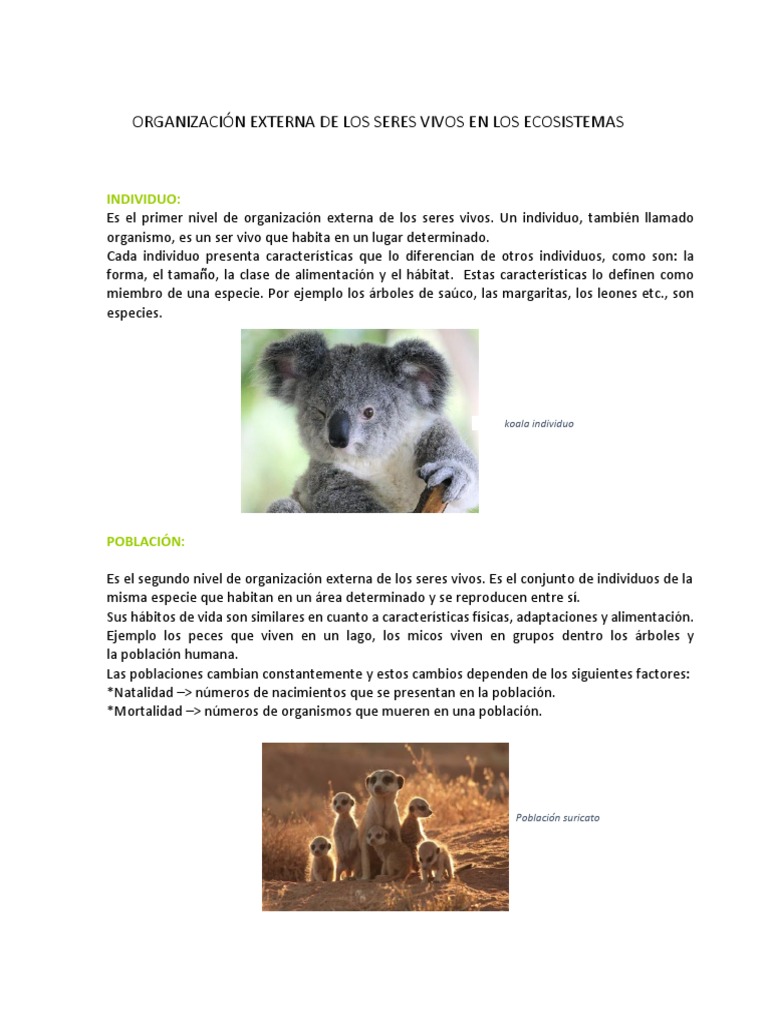 Organizacion Externa de Los Seres Vivos en Los Ecosistemas | PDF