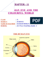 Chapter - 11: The Human Eye and The Colourful World