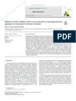 Influence of Solar Irradiance Levels On The Formation of Microalgae-Bacteria Agregates