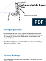 Enfermedad de Lyme: causas, síntomas y tratamiento