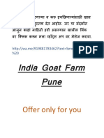 Best Offer For You