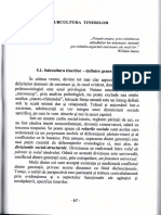 Adolescentii Secolului XXI - Subcultura Tinerilor PDF