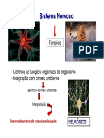 Aula_sistema_nervoso.pdf