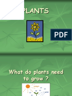 Chapter2whatdoplantsneedtogrow 120903085610 Phpapp01