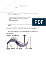 TRIPANOSOMIASIS