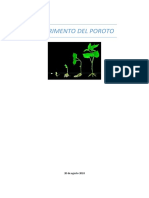 Germinación del poroto