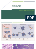 Inmunopatología PDF