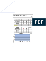 FORMAT ENSAYO.xlsx