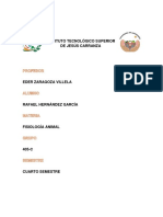 Ensayo Unida 2 PDF