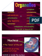 Best Cell Structure