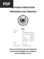 Download Praktikum 1 - Zat Antimikroba Dan Antibiotik by Wulandari Saputri SN46491016 doc pdf