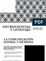 Neurociencias y Lenguaje PDF