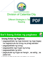 Division of Calamba City: Different Strategies in Teaching Reading