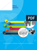 Global Synergy CP 2018 PDF