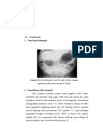 Gambaran Radiologi