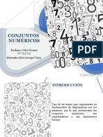 Conjuntos Numericos - Rodisac Coba