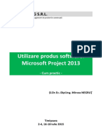 Curs Microsoft Project 2013 - Negrut Mircea I+II