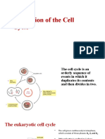 Regulation of The Cell Cycle For UVLe