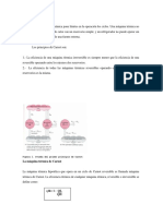 capitulo4.pdf