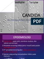 Candida