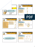 Aula-de-Anatomia- pdf FRANCERE.pdf