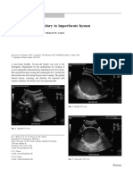 Hematocolpos Secondary To Imperforate Hymen: Clinical Images