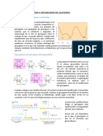 Metabolismo Tema 4