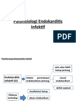 Patof Endokarditis Fix