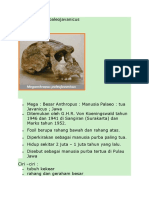 Manusia Purba Indonesia