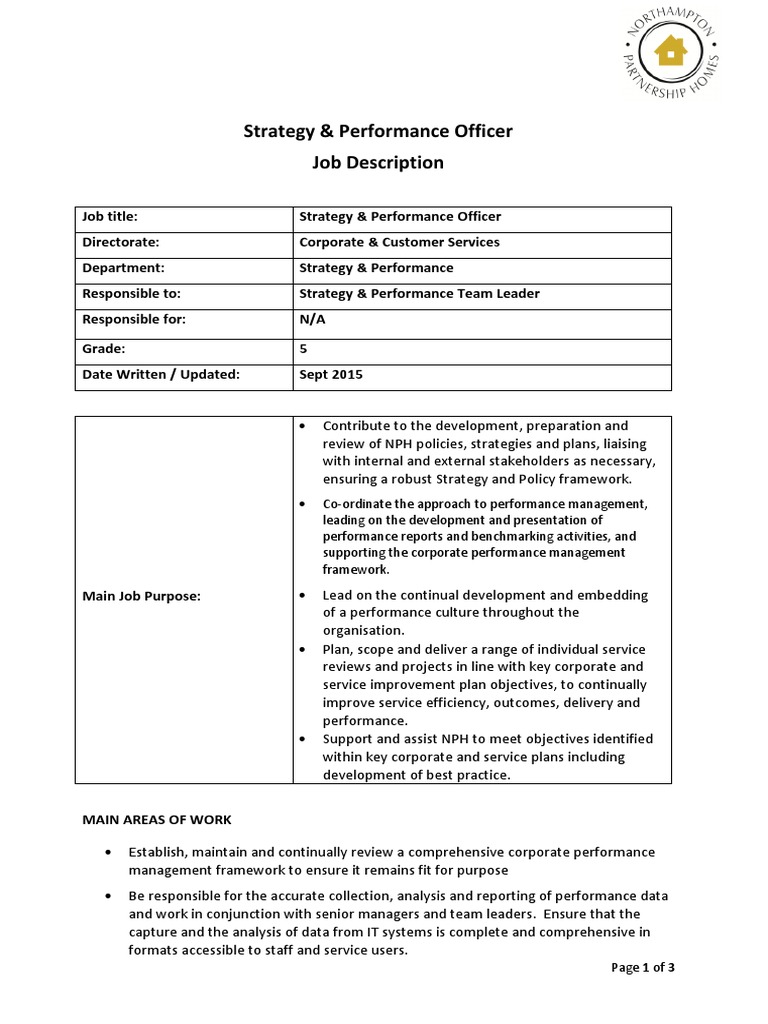 Strategy & Performance Officer Job Description PDF Data Quality