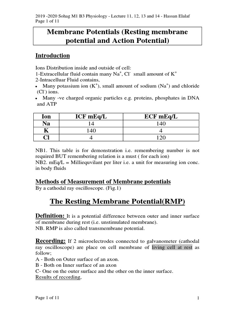 Membrane Potentials.. Hassan Elalaf | PDF | Depolarization | Action ...