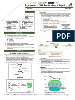 [BIOCHEM] 5.06 Gene-Expression I-DNA Replication and Repair (Dr. Balcueva).pdf