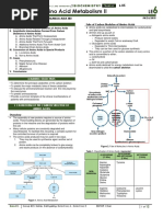 Amino Acid Metabolsm 2
