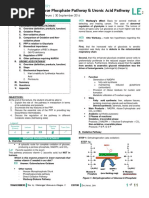 Uronc Pathway