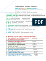 Sebi Andrei - relații semantice-converted.pdf