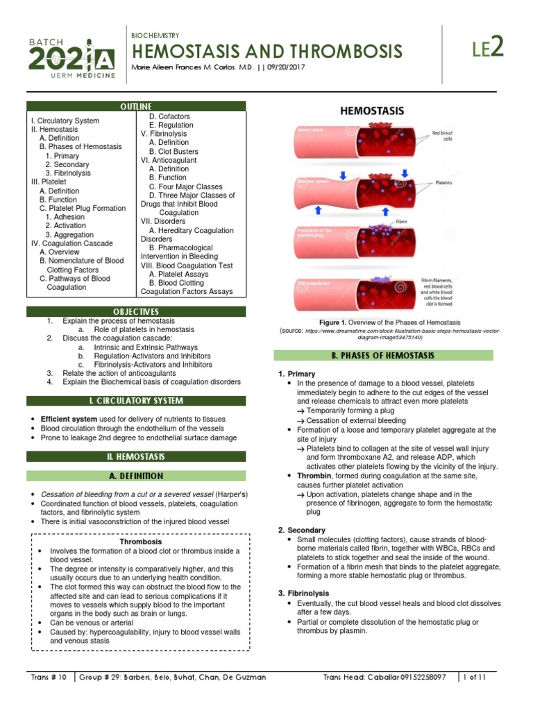 Hemostasis and Thrombosis: Outline | PDF | Coagulation | Platelet