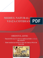 Mediul Natural Si Viata Cotidiana