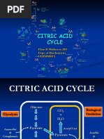 citrc acd cycle