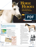 Orse Eroes: True Stories of Amazing Horses