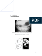 Radiologi